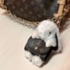 圖片 《在台現貨最低特價  最新》Louis Vuitton LV Cute Bunny手袋吊飾