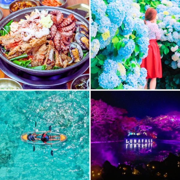 圖片 【夢幻濟州藍絲帶精選饗宴五日】月影祈夢樂園、山茶花之丘、透明獨木舟、笑笑羊牧場、『魂』跆拳武藝秀│升等韓華渡假村