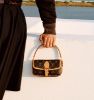 圖片 《在台現貨最低特價  最新》Louis Vuitton LV Nano Diane經典老花手提肩背包