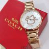 圖片 COACH蔻馳女錶,編號CH00018,36mm玫瑰金圓形精鋼錶殼,白色牛牛鑽錶面,玫瑰金色精鋼錶帶款,股市牛市好運到！