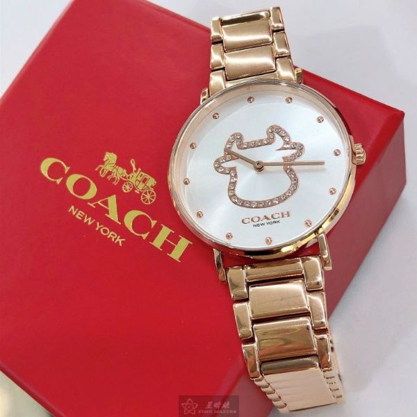 圖片 COACH蔻馳女錶,編號CH00018,36mm玫瑰金圓形精鋼錶殼,白色牛牛鑽錶面,玫瑰金色精鋼錶帶款,股市牛市好運到！