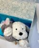 圖片 JELLYCAT 牧羊犬 TUMBL
