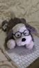 圖片 JELLYCAT 牧羊犬 TUMBL