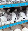 圖片 JELLYCAT 牧羊犬 TUMBL