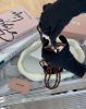 圖片 【MIUMIU】皮革掛脖卡包/證件牌 棕色