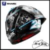 圖片 SHARK AERON GP Carbon #2 冬測 RAUL FERNANDEZ 大鴨尾 碳纖維