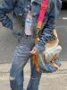 圖片 Lv 2010秀款 限量牛仔老花漸變hobo