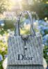 圖片 DIOR Dioriviera 綿柔感 Book Tote 小型托特包 藍色綿柔感 Dior Oblique 帆布托特包