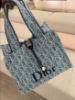 圖片 DIOR Dioriviera 綿柔感 Book Tote 小型托特包 藍色綿柔感 Dior Oblique 帆布托特包