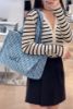 圖片 DIOR Dioriviera 綿柔感 Book Tote 小型托特包 藍色綿柔感 Dior Oblique 帆布托特包