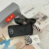 圖片 Ray-Ban Daddy-O RB2016-601/31 橢圓膠框墨鏡
