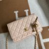 圖片 Chanel 淺米色羊皮金球woc 