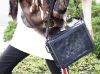 圖片 Louis Vuitton LV M53964 SOFT TRUNK 蕾絲 黑 