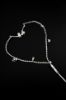 Diesel Wired Earbuds and charms "Silver" Type-C