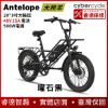 圖片 【CyberCycle】Antelope 大羚羊 - 20吋 強動力x前避震 多功能胖胎電輔車 (親子車/胖胎車)