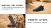 圖片 新竹立聲 | Boxe Flex2 BOSE SoundLink Flex II 藍芽喇叭 台灣公司貨