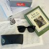 圖片 Ray-Ban RB4423D系列 膠框墨鏡
