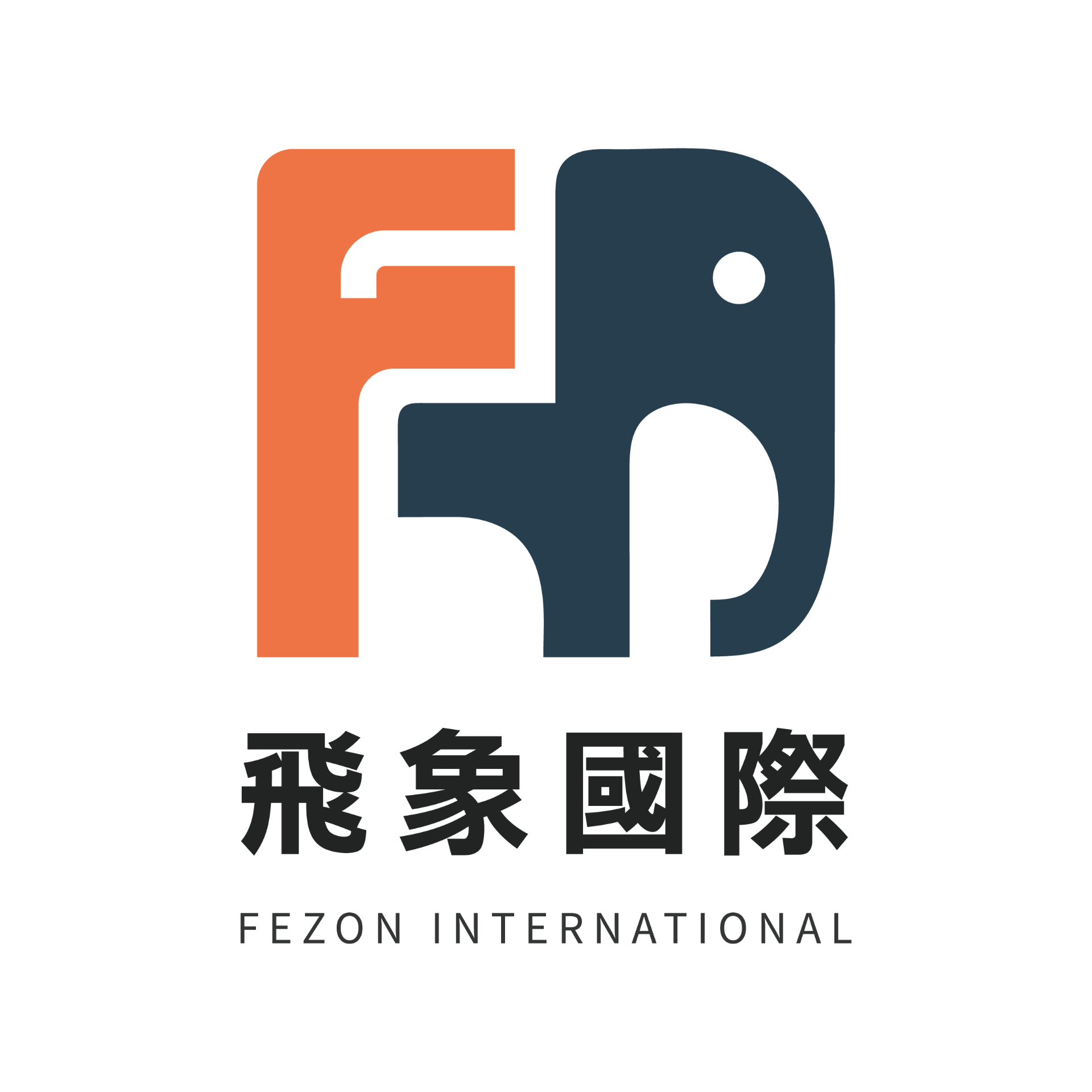 飛象國際有限公司