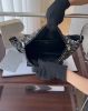 圖片 【DIOR】SADDLE 粒面小牛皮腰包 米色老花
