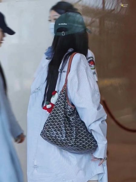圖片 【現貨】Goyard Hobo 現貨黑棕 🖤