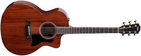 圖片 taylor 224CE SE