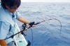 圖片 SHIMANO Chermare OYOGASE HH170