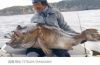 圖片 SHIMANO Chermare OYOGASE HH170
