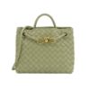 圖片 Bottega Veneta 展示品 Andiamo 羊皮編織金紐結手提斜背二用包-小(766014-鼠尾草綠)