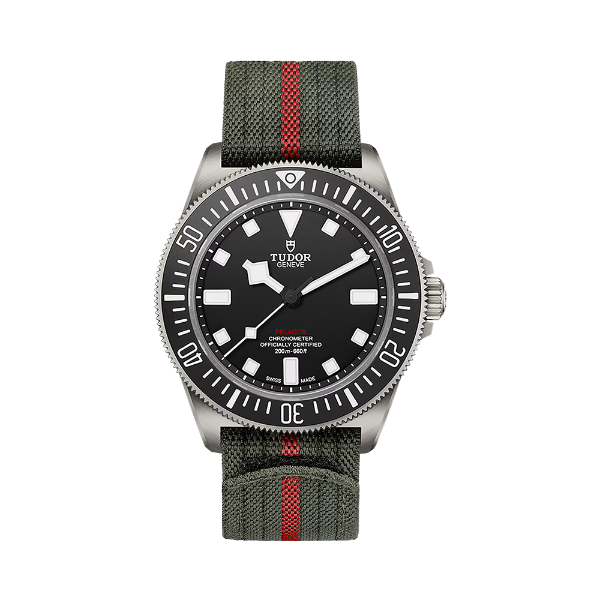 圖片 【TUDOR】帝舵 PELAGOS FXD 鈦金屬 25717N 42mm