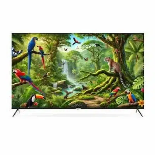 圖片 TATUNG大同 75型 4K GoogleTV連網智慧顯示器(UH-75UG900A)