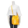 圖片 Goyard Petit Flot 印花帆布斜背水桶包(黃)         