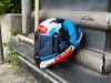圖片 LS2 FF805 CARBON GP AERO DEBISE 德比斯 亞洲版 公司貨 安全帽 碳纖維