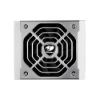 圖片 COUGAR 美洲獅 POLAR X2 1200w 電源供應器 白金牌 全模組ATX 3.1