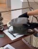 圖片 【LONGCHAMP】LE PLIAGE XTRA 迷你餃子包 斑鳩灰