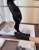 圖片 【BALENCIAGA】字母LOGO棒球帽 黑白 