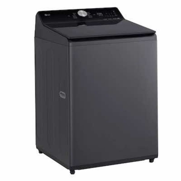 圖片 LG 樂金 20公斤 變頻洗衣機 WT-TD20HG