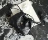 圖片 《我最便宜!全新正品》CHANEL mini 福袋包 黑色