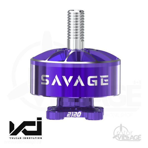 VCI 2207 YUKI SAVAGE 0319更新