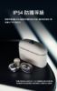 圖片 Sennheiser Momentum True Wireless 5 旗艦真無線藍牙耳機 第五代