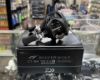 圖片 DAIWA SILVER WOLF CT SV TW PE SPECIAL 左手