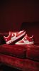Terror Squad x Nike Air Force 1 Low QS "University Red" 紅白 II4391-100