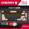 圖片 Cherry 無線三模 PIXIU75 RGB 金箍棒黑 紅軸/茶軸 MX2A