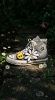 Focus Store G-Dragon x IPX x Converse Chuck 70x ZO & Friends "Grey" A24287C