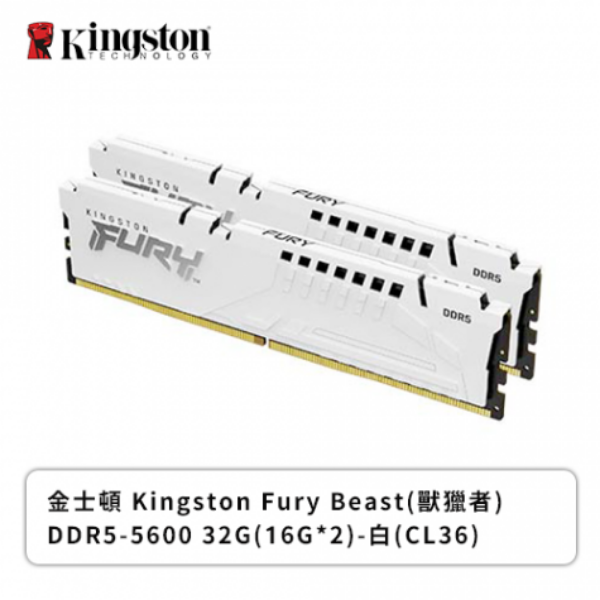 圖片 金士頓 Kingston FURY Beast DDR5-5600 CL36 32GB(16G×2) 白