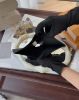 圖片 【LV】MULTIPLE短夾 黑色壓紋老花 M82072