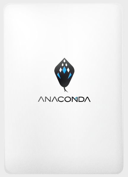 【ANACONDA】TT 256GB 2.5吋 SATA SSD 商品圖