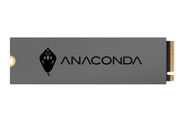 【ANACONDA】I4FS 1TB M.2 NVMe SSD 商品圖