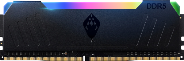 【ANACONDA】ET RGB DDR5 燈條桌上型超頻記憶體 32GB(16GB*2) 6000 商品圖