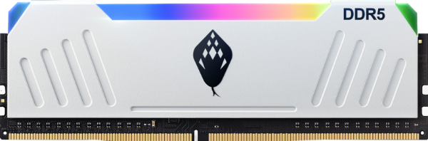 【ANACONDA】ET RGB DDR5 燈條桌上型超頻記憶體 32GB(16GB*2) 6000 商品圖