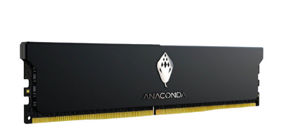【ANACONDA】KingSnake DDR5 桌上型超頻記憶體 32GB(16GB*2) 6000 商品圖